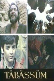 Təbəssüm 1993 on netflix