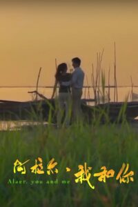 阿拉尔·我和你 2014 on netflix