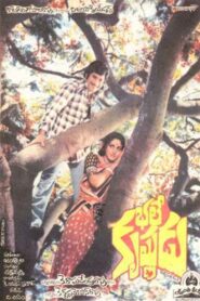Bhale Krishnudu 1980 on netflix