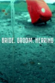 Bride. Groom. Herring 2020 on netflix