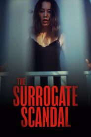 The Surrogate Scandal 2023 on netflix