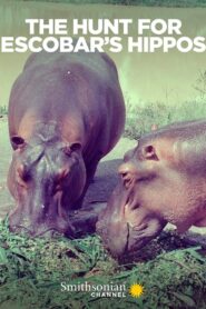 The Hunt for Escobar’s Hippos 2020 on netflix