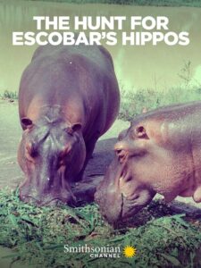 The Hunt for Escobar’s Hippos 2020 on netflix