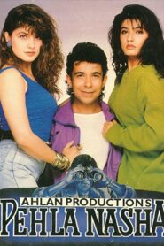 Pehla Nasha 1993 on netflix