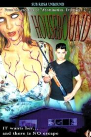 Housebound 2003 on netflix