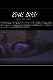 Soul Bird 2014 on netflix