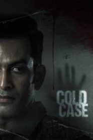Cold Case 2021 on netflix