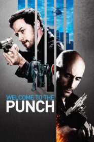 Welcome to the Punch 2013 on netflix