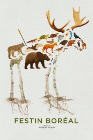 Wild Feast 2024 on netflix
