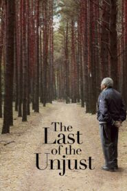 The Last of the Unjust 2013 on netflix