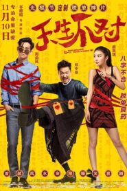 Two Wrongs Make a Right 2017 on netflix