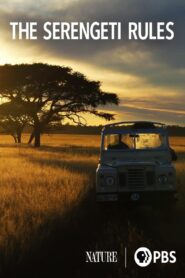 The Serengeti Rules 2018 on netflix