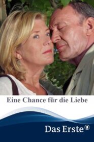 Eine Chance für die Liebe 2006 on netflix