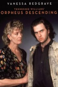 Orpheus Descending 1990 on netflix