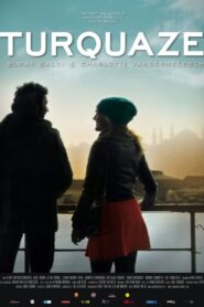 Turquoise 2010 on netflix