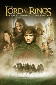 The Lord of the Rings: The Fellowship of the Ring 2001 on netflix