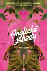 English Strawberries 2008 on netflix