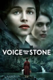 Voice from the Stone 2017 on netflix