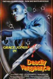 Deadly Vengeance 1981 on netflix