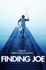 Finding Joe 2011 on netflix