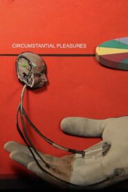 Circumstantial Pleasures 2020 on netflix