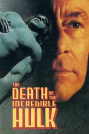 The Death of the Incredible Hulk 1990 on netflix