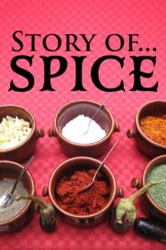 Story of..Spice 2016 on netflix