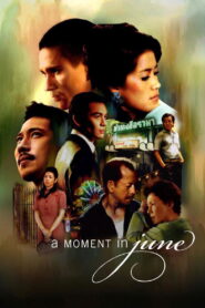 A Moment in June 2009 on netflix