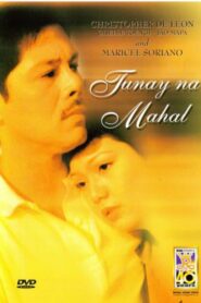 Tunay na Mahal 2000 on netflix