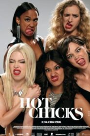 Hot Chicks 2014 on netflix
