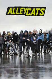 Alleycats 2013 on netflix