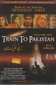 Train to Pakistan 1997 on netflix
