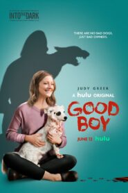 Good Boy 2020 on netflix