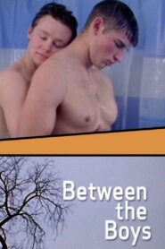 Between the Boys 2004 on netflix