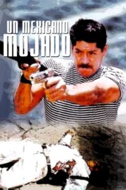 Un mexicano mojado 1999 on netflix