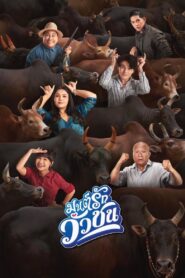 Love Battle vs Bullfighting 2022 on netflix