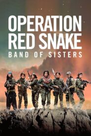 Sisters in Arms 2019 on netflix