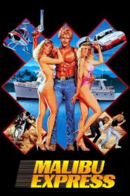 Malibu Express 1985 on netflix