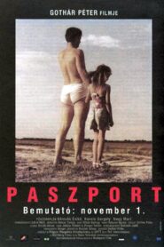 Passport 2001 on netflix