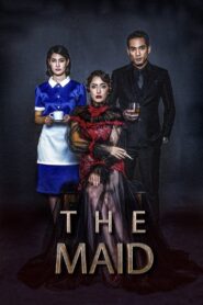 The Maid 2020 on netflix