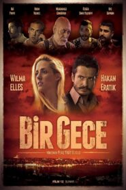 Bir Gece 2015 on netflix