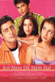 Koi Mere Dil Mein Hai 2005 on netflix
