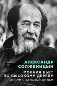 Aleksandr Solzhenitsyn Lightning strikes a tall tree 2008 on netflix