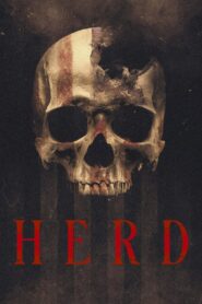 Herd 2023 on netflix