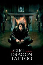 The Girl with the Dragon Tattoo 2009 on netflix