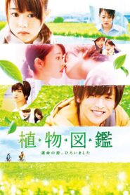 Evergreen Love 2016 on netflix