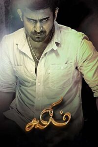 Salim 2014 on netflix