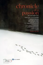 Chronicle of a Passion 2016 on netflix
