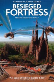 The Besieged Fortress 2006 on netflix