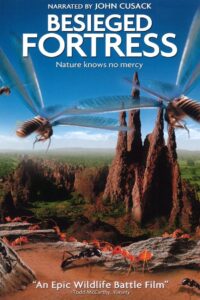 The Besieged Fortress 2006 on netflix